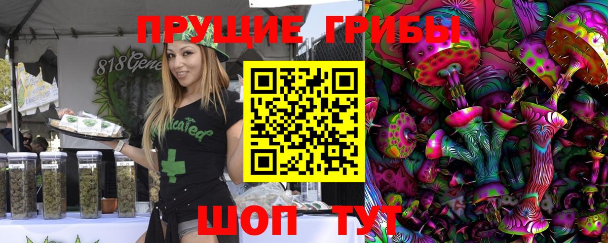Псилоцибиновые грибы мицелий Советский